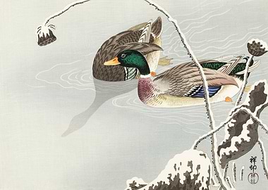 Two Mallards Ohara Koson