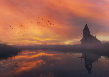 Wetlands Digital Painting