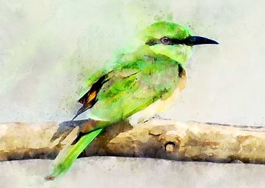 Watercolor bee eater bird