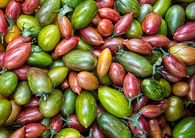 colorful tomatoes