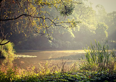 Summer sunrise, pond, view