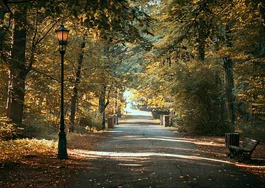 Autumn path, bridge, trees