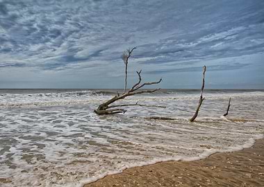 Edisto Beach Carolina