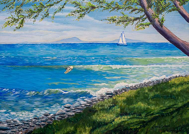 Crescent Head Australia