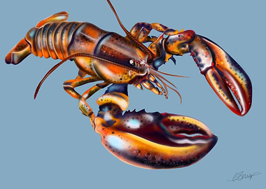 Lobster