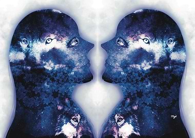 Coexistence Symmetry