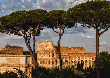 Colosseum At Sunset