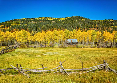 Cumbres and Toltec Rail