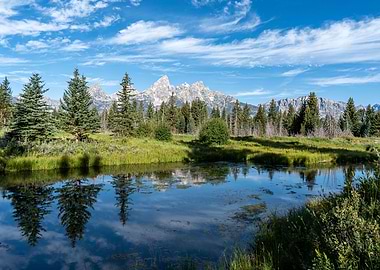 Schwabacher Landing