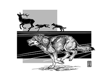 Guardian Series Wolf