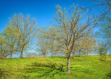 Appalachian Mountain Trail