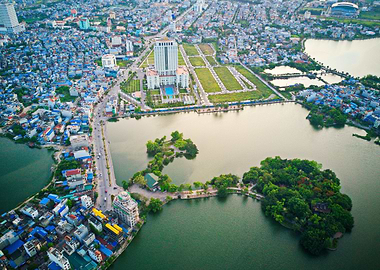 Tree shaped islet in city