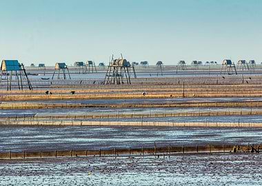 Working on tidal beach