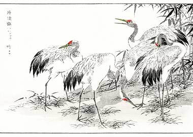 Flamingo Swan Japanese Art