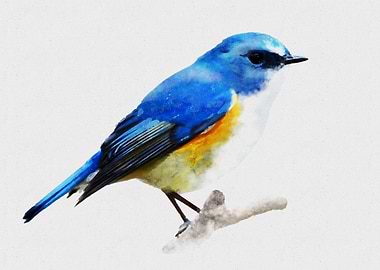 Watercolor bird painting