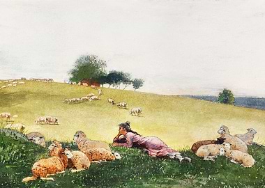 Shepherdess Houghton Farm