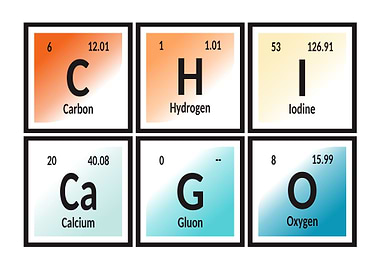 Elements of Chicago City