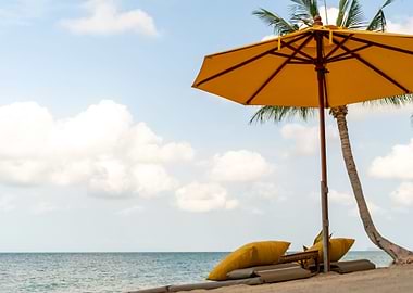 Tropical Beach of summer