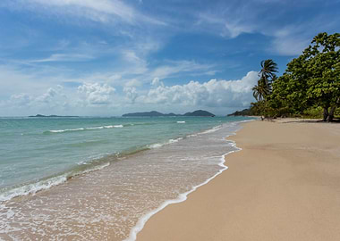 Tropical Beach of summer