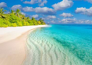 Tropical Beach of summer