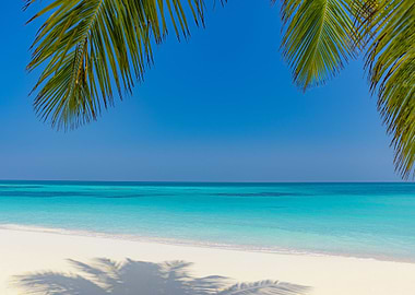 Beautiful tropical beach