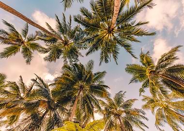 Beautiful tropical beach