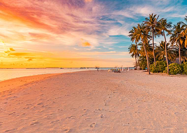 Tropical Beach of summer