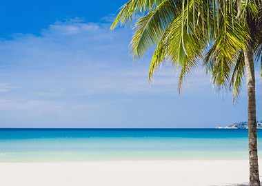 Beautiful tropical beach