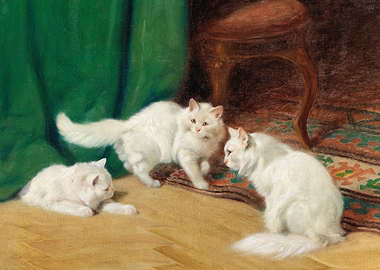 Conversation Amongst Cats