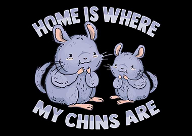 Home Chinchilla Owner