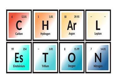 Element of Charleston City