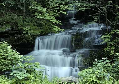 Waterfall in Forest Nature