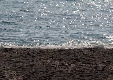 Sunkissed Ocean Dream 1