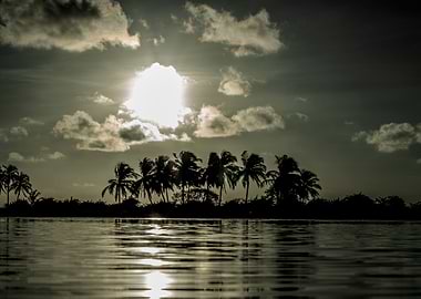 Sunset black and white