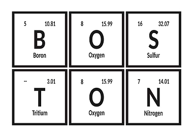 Elements of Boston City
