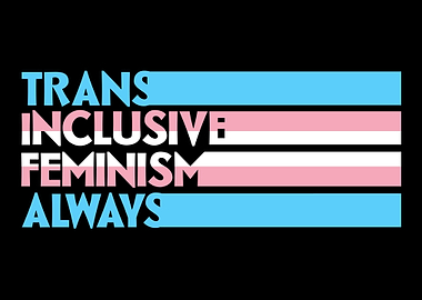 Transfeminism Trans