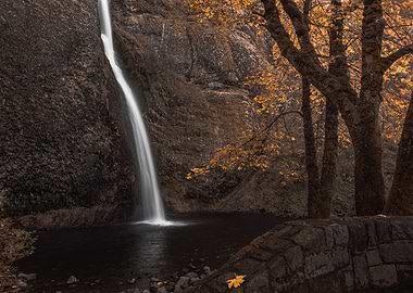 Horsetail falls autumn