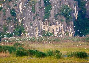 Nature inside VanLong park