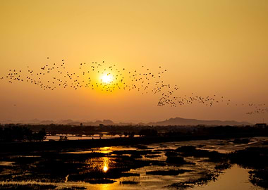 Flying home at sunset