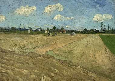 van Gogh Geploegde akker