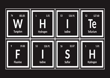 Whitefish City of Elements
