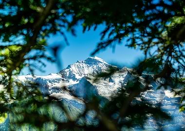 Peaking through the trees
