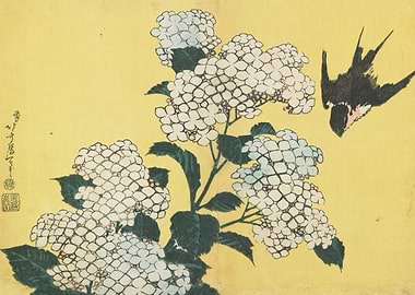 Hydrangeas and Swallow