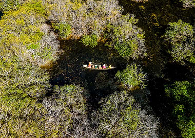 Sailing along mangoves