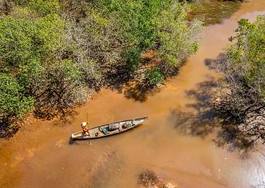 Sailing along mangoves