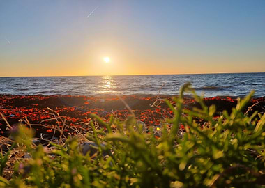 sunset at sea with red