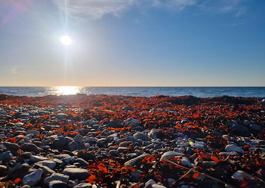 Beautiful Sea with red