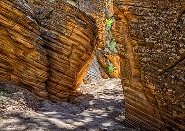Lick Wash Trail Hike