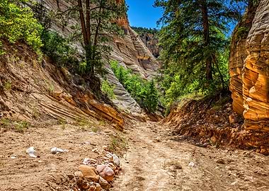 Lick Wash Trail Hike