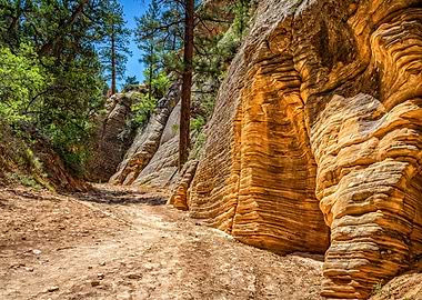 Lick Wash Trail Hike